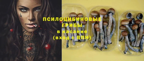 соль курить ск Верея
