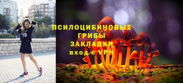 соль курить ск Верея