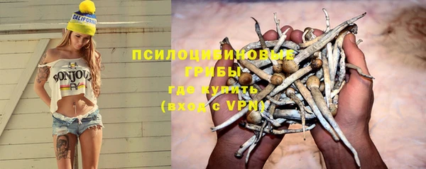 соль курить ск Верея